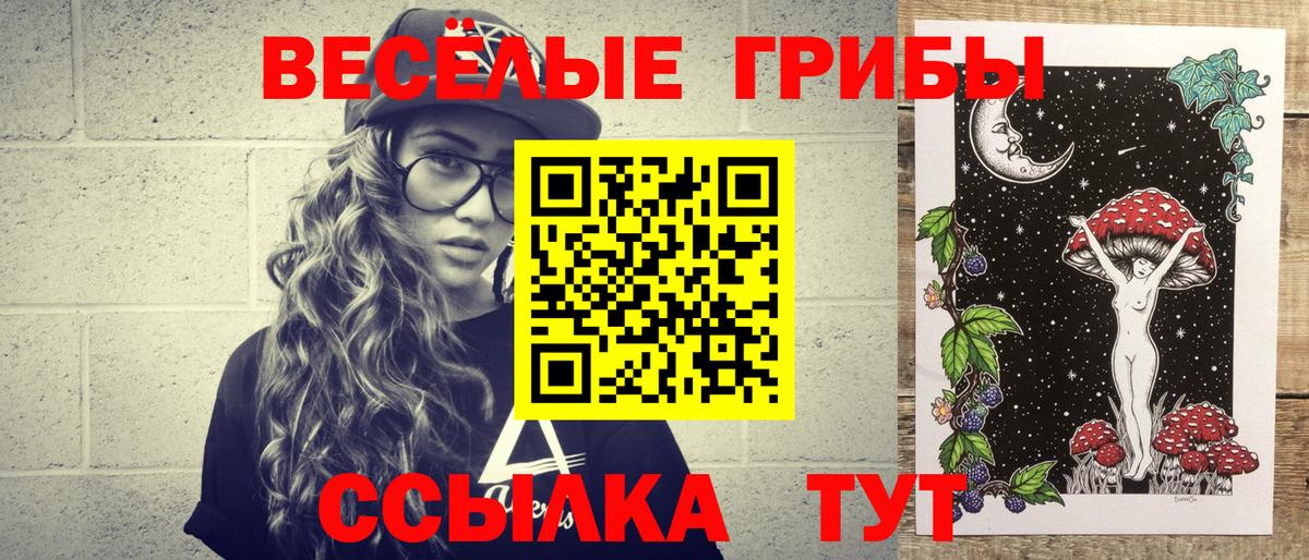 Псилоцибиновые грибы Cubensis Кимовск