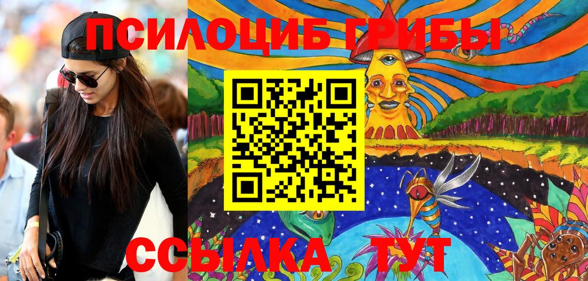 Кимовск  Псилоцибиновые грибы мицелий  Псилоцибиновые грибы MAGIC MUSHROOMS  дарнет шоп  Вход с VPN 